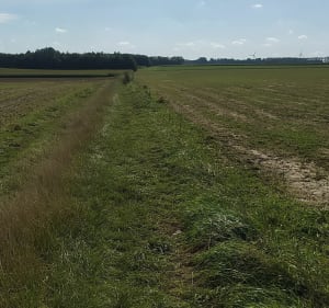 Marche 9km à Vimeu - Nibas - 4