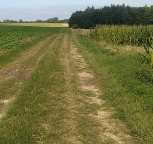 Marche 9km à Vimeu - Nibas - 5
