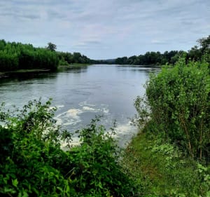 Balade à la confluence de la Garonne et de l'Ariège - Pinsaguel - 5