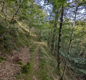 Forêt et points de vue au-dessus d'Auzits et Bournazel - Escandolières - 3