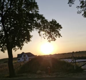Pętelka nowosolna - moskwa - nowosolna - Łódź - 4