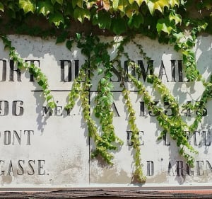 Le Somail, au canal de Jonction - Ginestas - 4