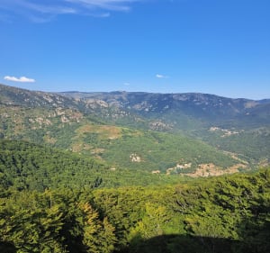 Burzet Loop naar Lachamp-Raphaël - Burzet - 3