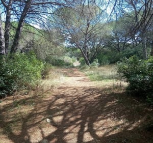 Sentier de la Tour de Farges, et Lunel-Viel - Lunel-Viel - 4