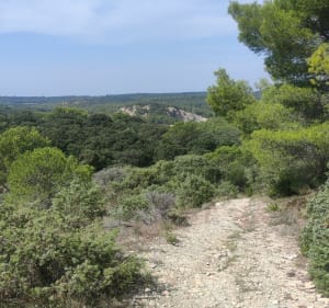 Rando à St Victor-la-Coste - Saint-Victor-la-Coste - 3