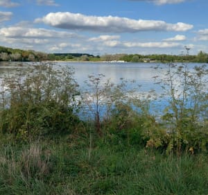 Boucle sur l'Île de Torcy - Torcy - 3
