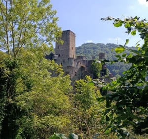Petite boucle château de Belcastel et sanctuaire du Lourdou - Belcastel - 3