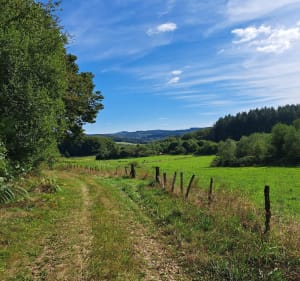 Circuit du Suquet de la Grolle - Eymoutiers - 3