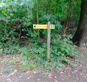 Petite balade à saint Leu la Forêt - Saint-Leu-la-Forêt - 3