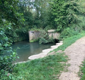 Le tours des étangs et des  sentiers de la Sauvagine - Mametz - 3