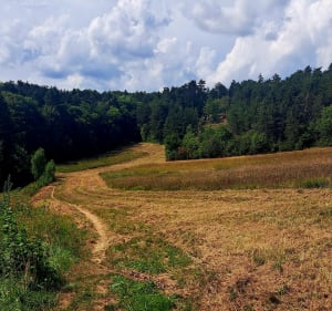 De Beaune à Bouze-Les-Beaune par les chaumes - Beaune - 4
