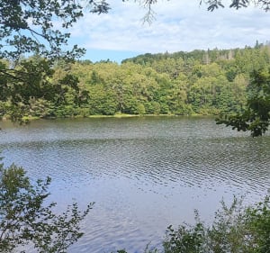 Les lacs de la  Crégut du Tact et Taurons - Trémouille - 3