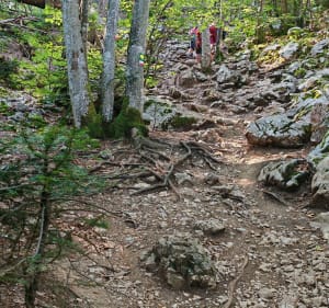 Mont Veyrier en Mont Baron, vanaf het bospad - Annecy - 4