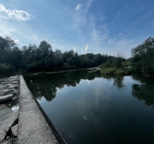 Spacer nad Kamienicą w Nowym Sączu - Nowy Sącz - 4