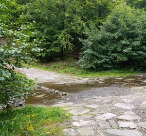 Błatnia z Jaworza - Jaworze - 3