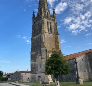 Balade au milieu des marais de Marennes - Marennes-Hiers-Brouage - 4