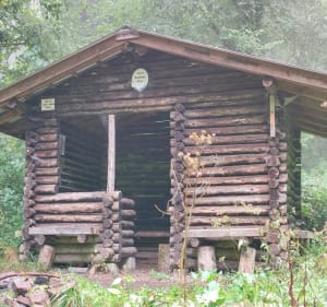 Le col Amic - Soultz-Haut-Rhin - 5