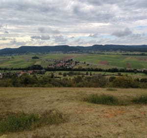 Le sommet du Bastberg - Bouxwiller - 5