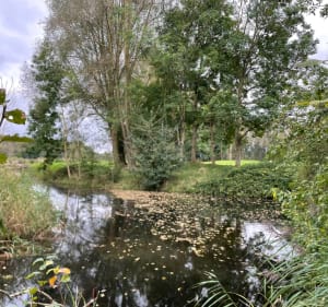 Balade entre plans d’eau et forêt à Coudekerque - Bierne - 4