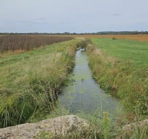 Entre Talmay et Heuilley-sur-Saône - Talmay - 4