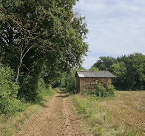 Marche autour de Bagnols - Bagnols - 3