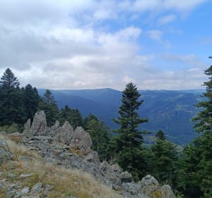 Du barrage de la rive au Crêt de la Perdix - La Valla-en-Gier - 4