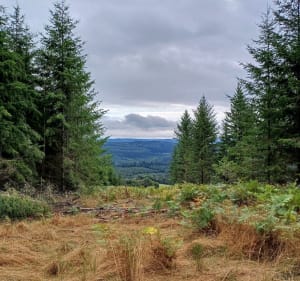 Le sentier des 3 croix - Nedde - 4