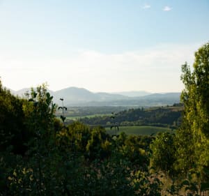 Promenade champêtre sur les hauteurs de Saint Romain de Suri - Saint-Romain-de-Surieu - 3