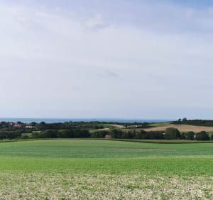 Le mont de couple à Wissant - Wissant - 5