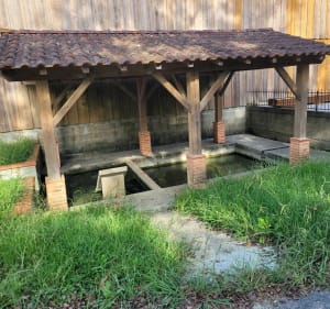 Le long du Luy et les barthes de Oeyreluy - Oeyreluy - 3