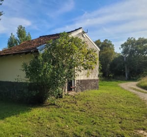 Le long du Luy et les barthes de Oeyreluy - Oeyreluy - 4
