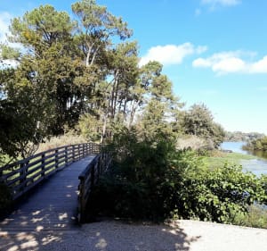 Promenade fleurie et lac de Mimizan - Christian D - 3