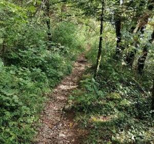 Balade sur la voie de Sarde - Saint-Christophe - 3