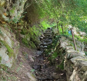 Sentier des moulins - Cuttoli-Corticchiato - 4