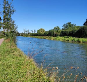 Jolie randonnée au bord du canal de Bourgogne à Sainte-Marie-sur-Ouche - Sainte-Marie-sur-Ouche - 3