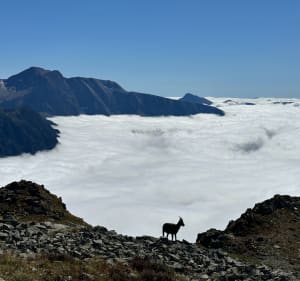 Vues magnifiques du Petit Van depuis la Croix de Chamrousse - Chamrousse - 4