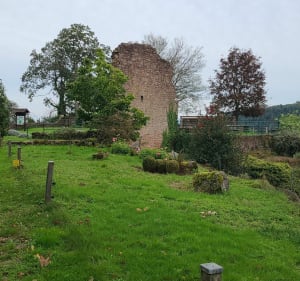 Itinéraire autour de Rappenfelsen - Saverne - 3