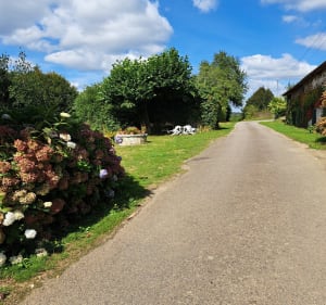 Circuit du Tram à Saint-Bonnet-Briance, par Leycuras - Saint-Bonnet-Briance - 4