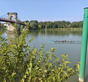 Entre Dombes et Saône - Villeneuve - 4