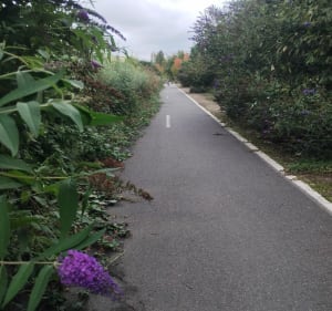 Villemoisson - Brétigny entre ville et rivière - Villemoisson-sur-Orge - 3