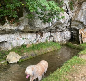 Boucles de Pontillou et de la fontaine du Ladoux. - Saint-Raphaël - 3