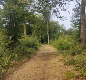 La boucle des Vieux Chênes - Crécy-en-Ponthieu - 5