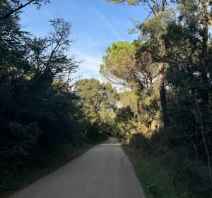 Randonnée direction Sant Feliu de Guíxols, par Ermita de Pedralta - Sant Feliu de Guíxols - 4