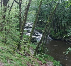 Les gorges du Trinquelin - Saint-Léger-Vauban - 4