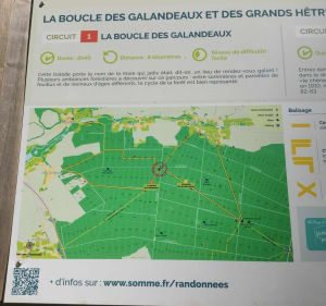 La boucle des Galandeaux - Crécy-en-Ponthieu - 5