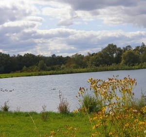La Meuse par la voie verte - Thierville-sur-Meuse - 3
