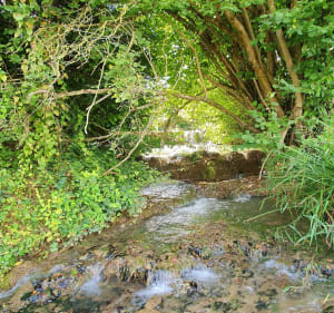La Meuse par la voie verte - Thierville-sur-Meuse - 5