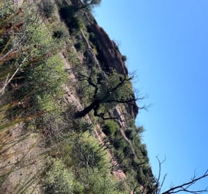 Randonnée plaine des Maures - Gonfaron - 4