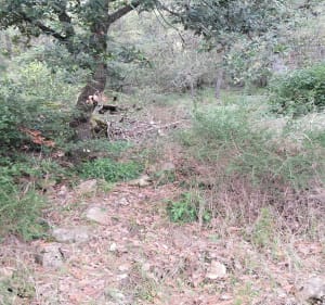 Boucle VTT autour de Sabran - Sabran - 3