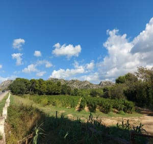 Le Val d'enfer en passant par les Baux - Saint-Rémy-de-Provence - 4